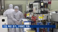 기업 체감 경기, 5개 만 악화…제조업 하락 전환