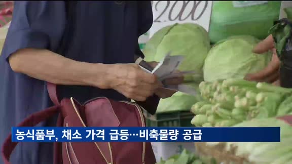 일부 채소 가격 급등세 지속…농식품부 “비축물량 공급”