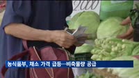 일부 채소 가격 급등세 지속…농식품부 “비축물량 공급”