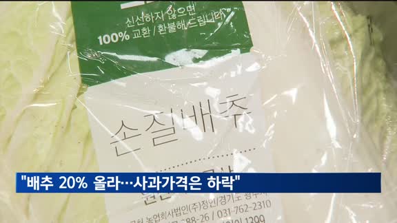 "8월 배추 20% 오른다…사과 가격은 40% 하락 전망"