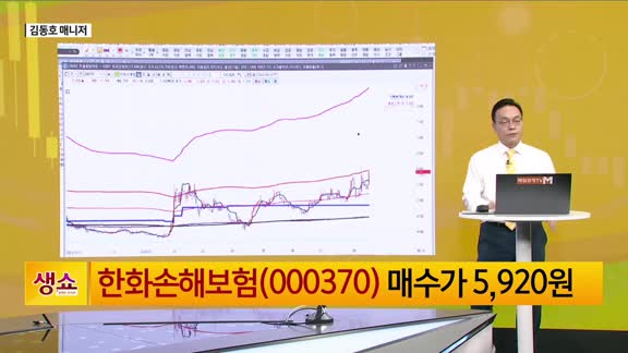 [생생한 주식쇼 생쇼] 한화손해보험 (000370)