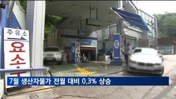 7월 생산자물가 전월 대비 0.3% 상승