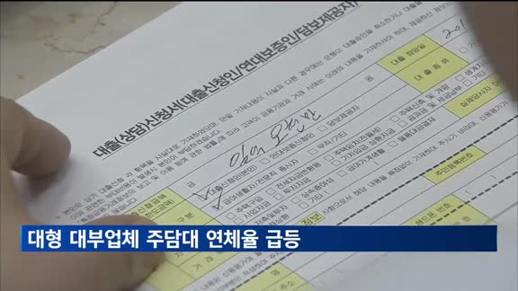 상반기 대형 대부업체 30곳 주담대 연체율 20%로 급등