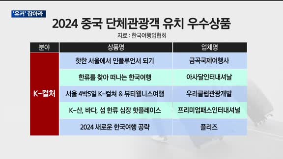 '유커' 잡아라…정부 주도로 고부가 여행상품 발굴