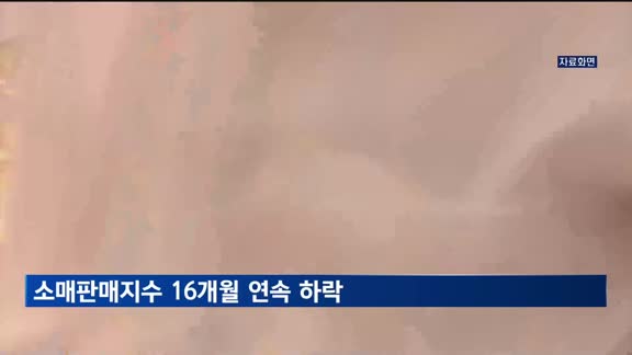 가계 여윳돈 감소에…소매판매지수 16개월 연속 하락