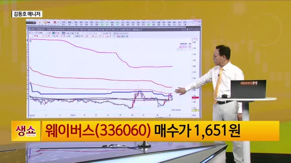 [생생한 주식쇼 생쇼] 웨이버스 (336060) 