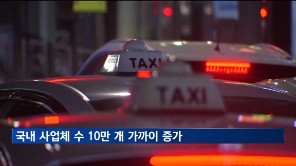 "전자상거래 중심 개인사업자 늘어"…사업체 수 10만 개↑