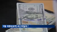 9월 외환보유액 40.5억달러↑…달러 약세 등 영향