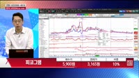 [주상전화] 피코그램 (376180)