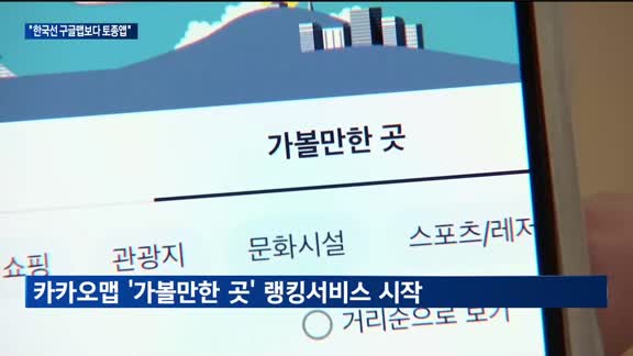 "한국서는 구글맵보다 토종앱"…IT업계 고도화 '전력투구'