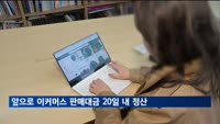 '티메프 상태' 방지…이커머스 판매대금 20일 내 정산