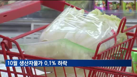 10월 생산자물가 0.1% 하락…농산물 10% 내려