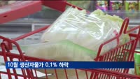 10월 생산자물가 0.1% 하락…농산물 10% 내려