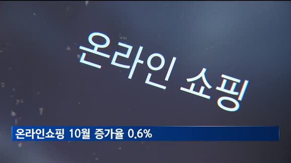 온라인쇼핑 10월 증가율 0.6%…개편 이후 최저