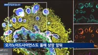 증시 입성 노린 제약바이오 기업, 투자처 모색…외연 확장에 '힘'