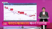 [생생한 주식쇼 생쇼] 변동성 확대 임박, 핵심 섹터와 신규 종목 전략 / 제주반도체 (080220)