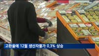 고환율에 12월 생산자물가 0.3% 상승