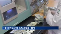 1월 외환보유액 4천110억달러…4년7개월래 '최저'