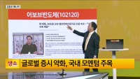 [생생한 주식쇼 생쇼] 정부 34조 원 첨단 산업 기금 발표…반도체·AI 관련주 주목 / 어보브반도체 (10...