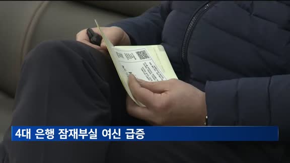 4대 은행 잠재부실 여신 8천억 넘게 급증