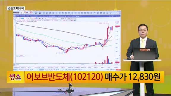 [생생한 주식쇼 생쇼] 국내 정책 모멘텀 주목…어보브반도체 (102120) 매수 기회