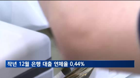 지난해 12월 은행 대출 연체율 0.44%로 하락