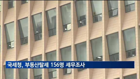 국세청, 부동산탈세 156명 세무조사…"수십억 아파트 편법증여·가장매매"