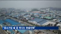 "중소기업 둘 중 하나는 환율피해"