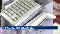 1월에도 주요 업종 카드소비 줄어…교육비까지 4년만 감소