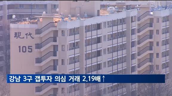 서울시 강남 3구 갭투자 의심 거래 급증