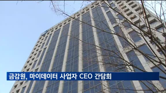 금감원, 마이데이터 사업자 CEO 간담회…"신용정보 철저 관리"