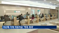 지난해 가계 여유자금 216조 원…역대 최대