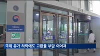 유류세, 유가 하락에도 고환율 부담 '딜레마'…내주 결정될 듯