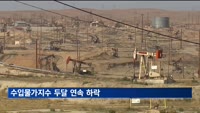 국제유가 하락에…수입 물가 두 달 연속↓