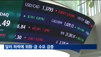 달러예금 607억 달러로 반등…금 투자도 연일 최대치 경신