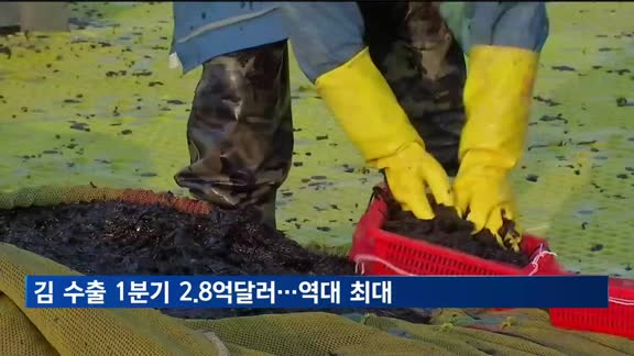 김 수출, 1분기 사상 최대…10억 달러 조기 달성 기대