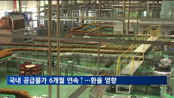 국내 공급물가 6개월 연속 상승…환율 영향