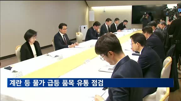 정부, 계란 등 물가 급등 품목 유통 점검…유가보조금도 연장