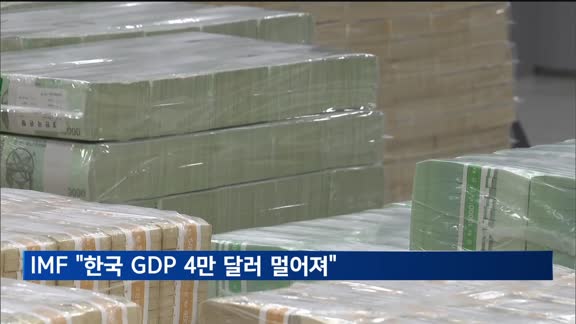 IMF "한국, 국민소득 4만 달러 멀어져"