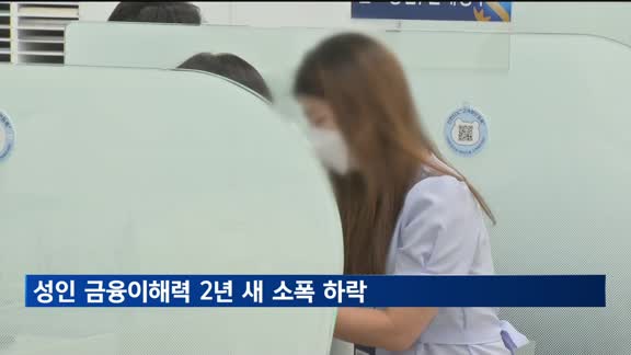 성인 금융이해력 2년 새 소폭 하락…"인플레이션 이해도 떨어져"