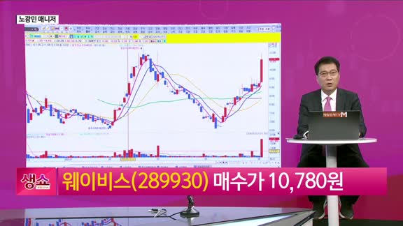 [생생한 주식쇼 생쇼] 웨이비스(289930), 전쟁·방산 테마 수급…265억 방산 계약에 급등