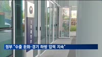내수 부진에 미 관세까지…정부 "수출 둔화·경기 하방 압력 지속"