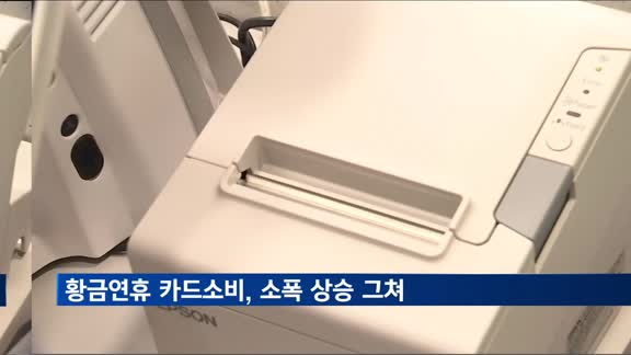 황금연휴 기간 국내 카드소비 소폭 상승 그쳐…해외 이용은 17.5%↑