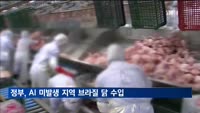 정부, 브라질 내 AI 미발생 지역 생산 닭고기 수입 허용
