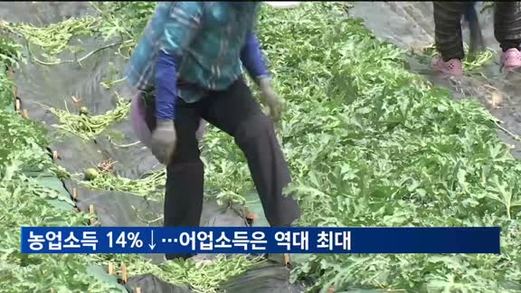 폭염·폭설에 농업소득 14%↓…김값 상승에 어가소득은 역대 최대