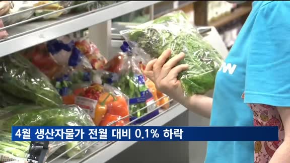 4월 생산자물가 전월 대비 0.1% 하락…양파 16%·오이 35%↓
