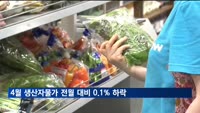 4월 생산자물가 전월 대비 0.1% 하락…양파 16%·오이 35%↓