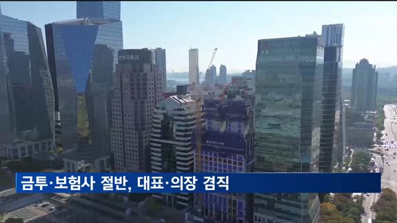 금투·보험사 절반, 대표·의장 겸직…"이해상충"