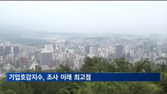 국민 기업 호감도 56.3점…조사 이래 최고치
