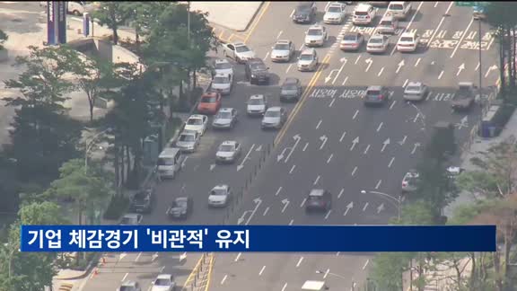기업 체감경기, 2년만에 최대폭 개선…비관적 심리는 유지